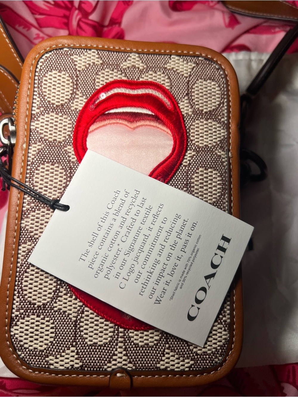 Coach x Tom Wesselmann Signature Canvas Crossbody with Red Lip Appliqués - Picture 8 of 10